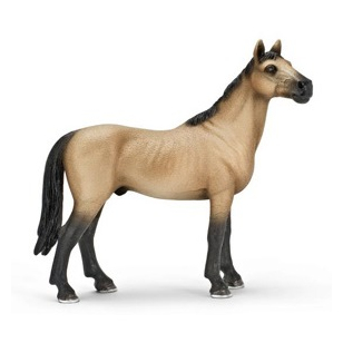 Жеребец ахалтекинский