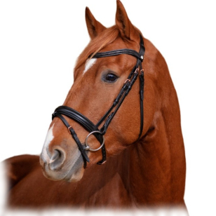 Оголовье трензельное "GRAVURE"