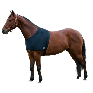 Попона для плеч лошади