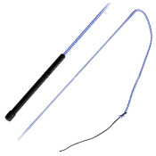 Хлыст рысистый  Хлыст рысистый