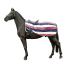Полупопона флисовая "Fasion Stripes"  для лошади