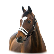 Недоуздок нейлоновый Horze Crescendo Howard Недоуздок нейлоновый Horze Crescendo Howard