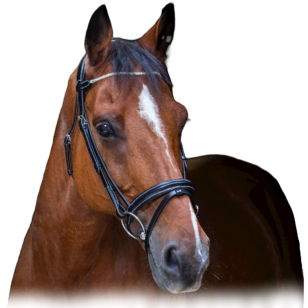 Оголовье трензельное "STRASS"