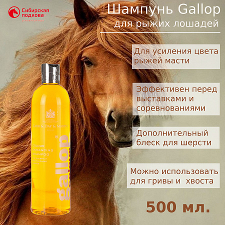 Шампунь Gallop 500 мл: забота о красоте шерсти лошадей всех мастей