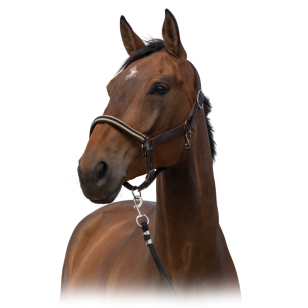 Недоуздок "Nylon Chevron" 