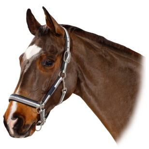 Недоуздок ESKADRON "STRIPED" Недоуздок ESKADRON "STRIPED"