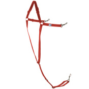 Мартингал синтетический