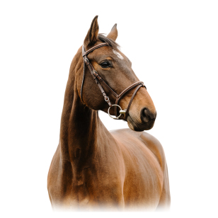 Оголовье трензельное Deco Оголовье трензельное Deco