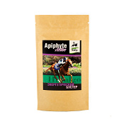 Подкормка Апифит Актив, 60 гр.