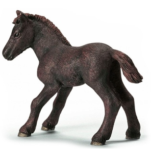 Жеребенок камаргу