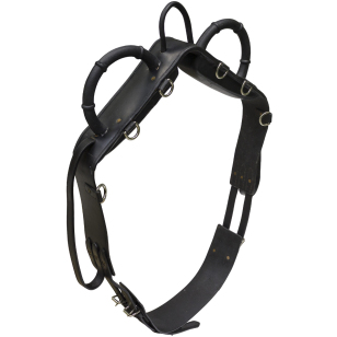 Гурта вольтижировочная Tattini, 2700999