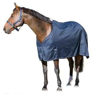 Попона для выступлений для лошади Попона для выступлений для лошади