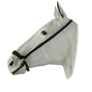 Капсюль чешский Капсюль чешский