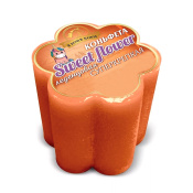 Лакомство для лошади Коньфета-цветочек "Персик" 800 г.