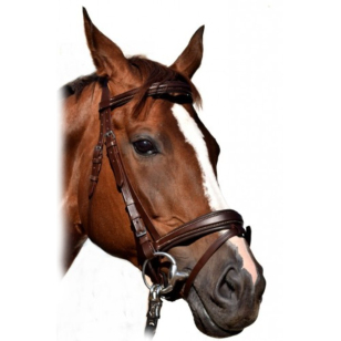 Оголовье трензельное с немецким капсюлем и подложкой 