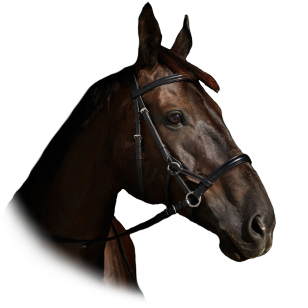 Оголовье безтрензельное Horze Denver Bitless