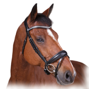 Оголовье трензельное "STRASS" Оголовье трензельное "STRASS"