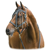 Комплект (недоуздок+чумбур+налобник от насекомых) Horze Dominic