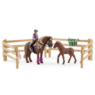 Набор наездница с иcландским пони