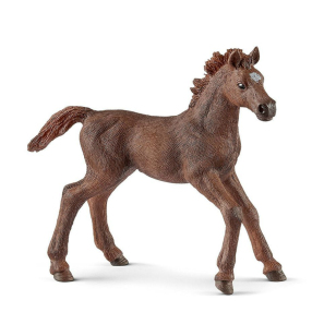 Английский чистокровный верховой жеребенок Английский чистокровный верховой жеребенок