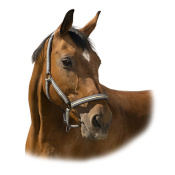 Недоуздок "BOUCLERIE NOIRE"