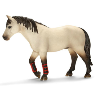 Лошадь на тренировке