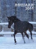Календарь перекидной вертикальный А3 2014 г. Календарь перекидной вертикальный А3 2014 г.