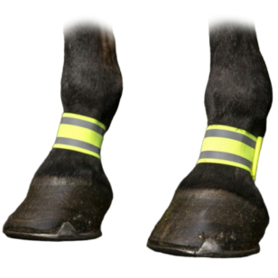 Бандаж светоотражающий NORTON  на ноги, пар