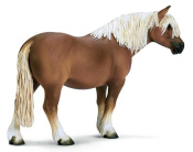 Жеребец хафлингер Жеребец хафлингер