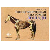 Топографическая анатомия лошади, Гуди П. К. 