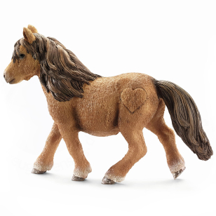 Шотландский пони