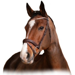 Оголовье трензельное "BRILLANT" Оголовье трензельное "BRILLANT"