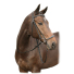 Оголовье трензельное "Harry's Horse"