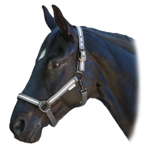 Недоуздок нейлоновый со светоотражающей тесьмой Недоуздок нейлоновый со светоотражающей тесьмой