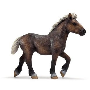 Жеребенок шварцвальдский