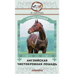 Английская чистокровная лошадь, Суетина М.Ю. Английская чистокровная лошадь, Суетина М.Ю.