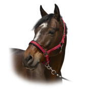 Недоуздок "4lines" 