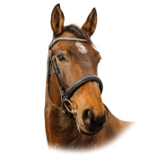 Оголовье трензельное Diva Оголовье трензельное Diva