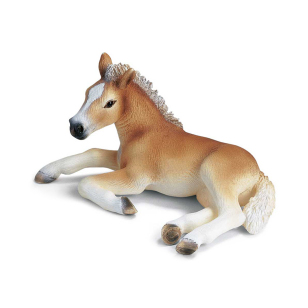 Жеребенок лежачий хафлингер Жеребенок лежачий хафлингер