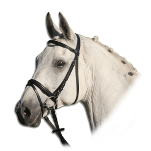 Оголовье трензельное "Lifestyle" Оголовье трензельное "Lifestyle"