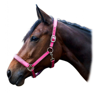 Недоуздок "HKM Bern"