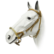 Сайд пулл Сайд пулл