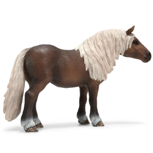 Кобыла шварцвальд Кобыла шварцвальд