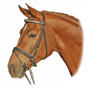 Оголовье трензельное НКМ со стразами