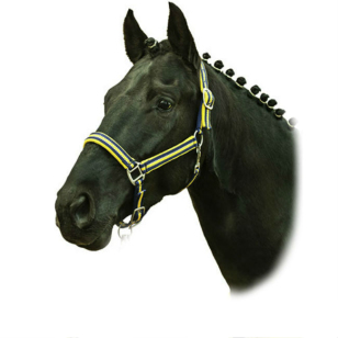 Недоуздок нейлоновый НКМ со светоотражающей тесьмой