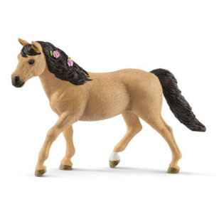 Коннемара пони Коннемара пони