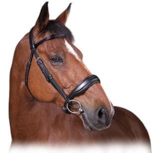 Оголовье трензельное "CONFORT"