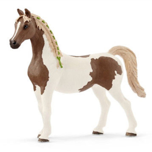 Кобыла пинтабиан Кобыла пинтабиан