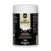 Подкормка MSM + GINGER POWDER, 700 гр Подкормка MSM + GINGER POWDER, 700 гр