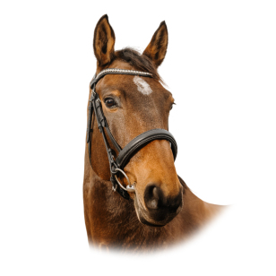 Оголовье трензельное Diva Оголовье трензельное Diva